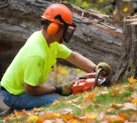 tree services Crookston